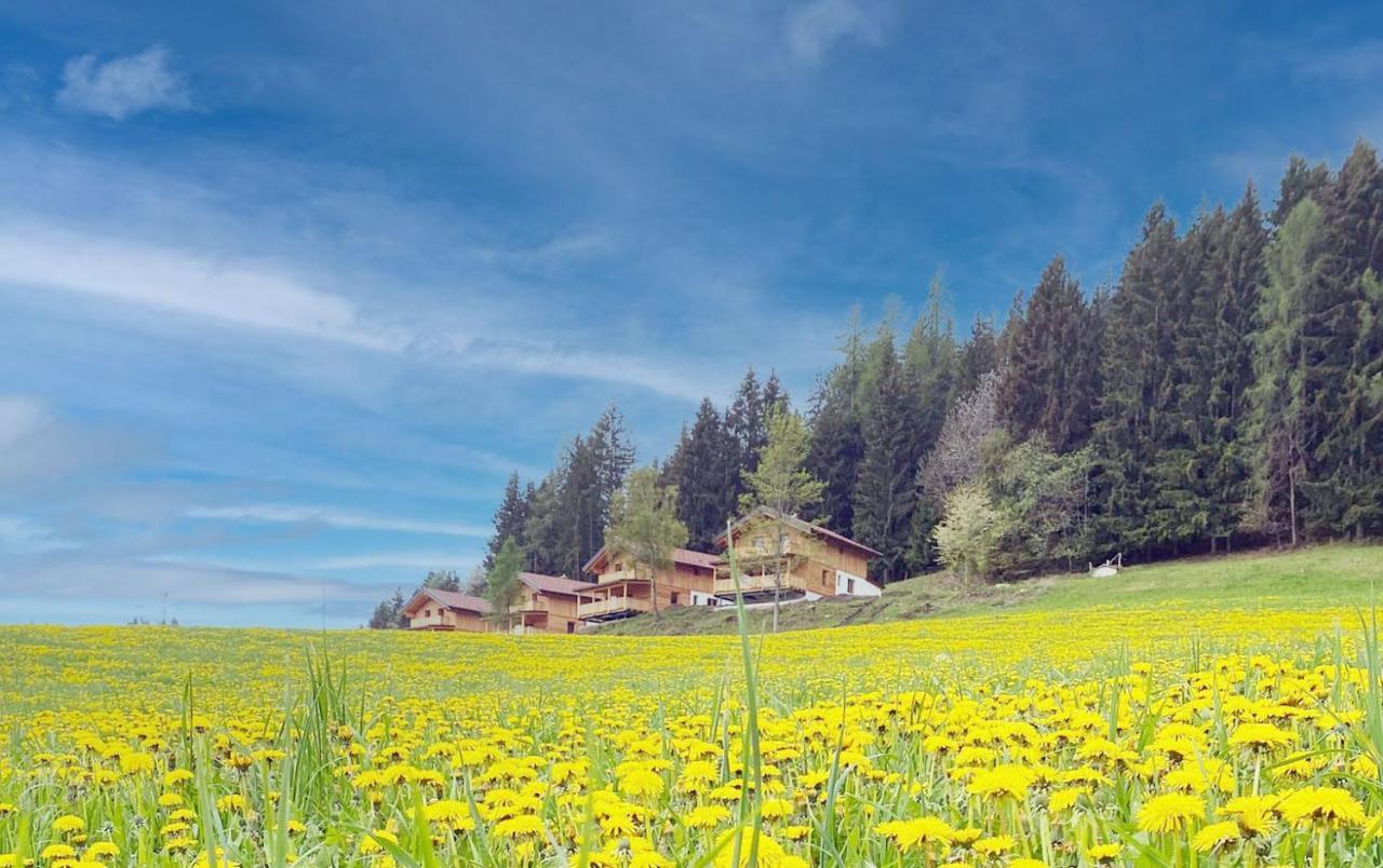 Hochleben-Chalets Am Erlebnisbauernhof Steinerhof Liebenfels Exterior foto
